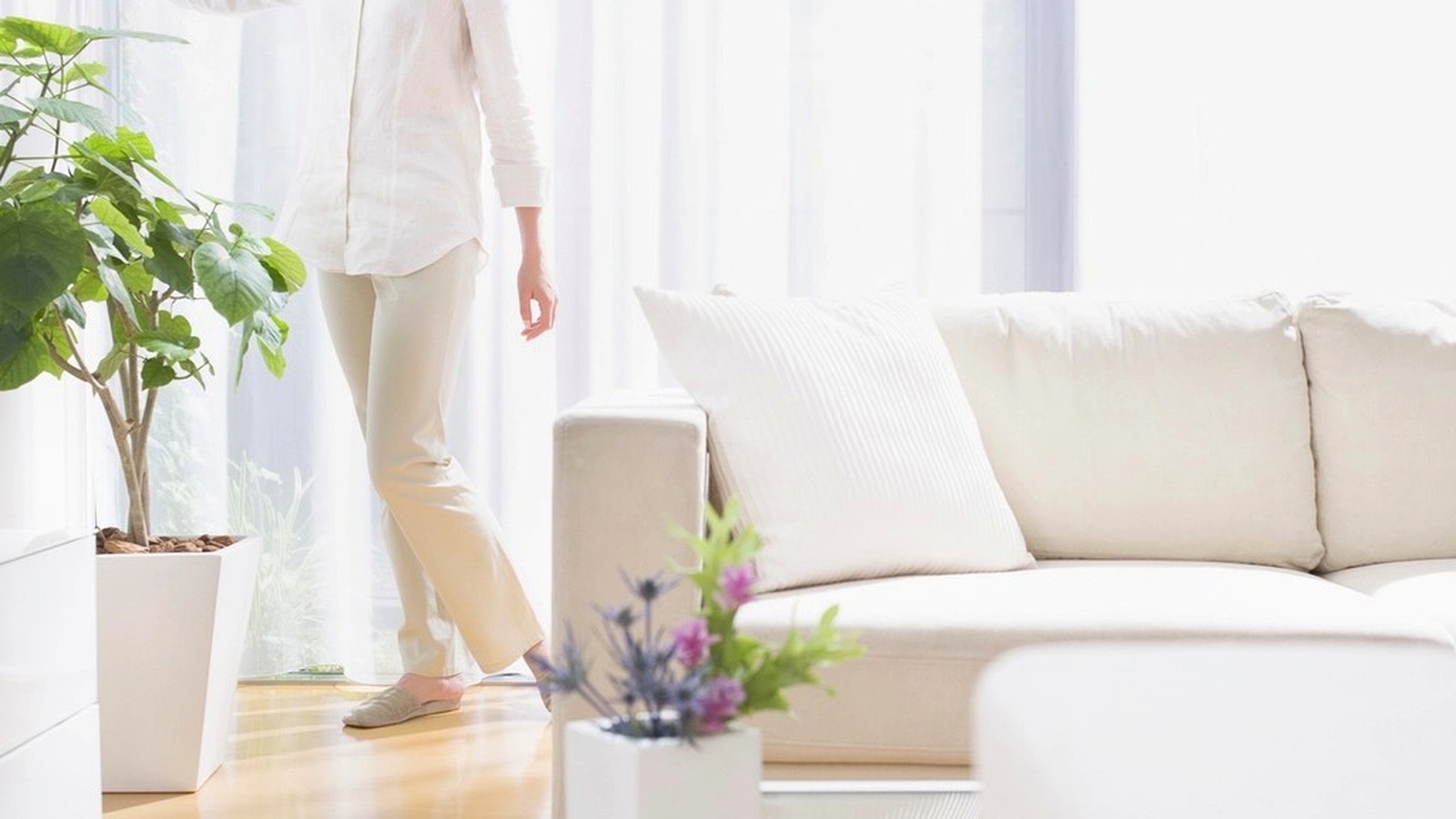 How to Arrange Houseplants in a Living Room Without Making It Feel Cluttered
